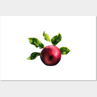 Red apple with green leaves Posters and Art